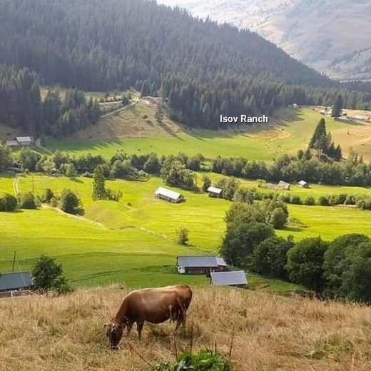 Isov Ranch Villa Plav Kültér fotó