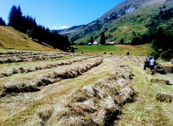 Isov Ranch Villa Plav Kültér fotó