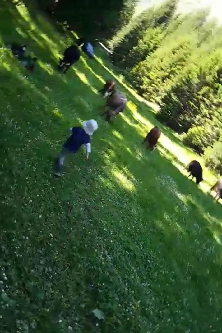 Isov Ranch Villa Plav Kültér fotó