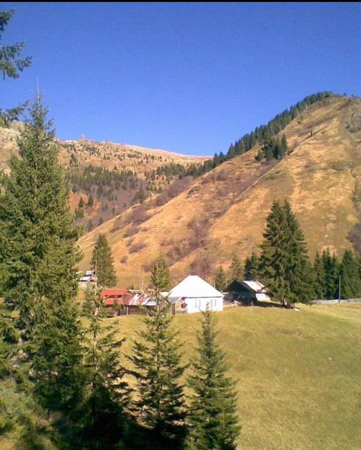 Isov Ranch Villa Plav Kültér fotó